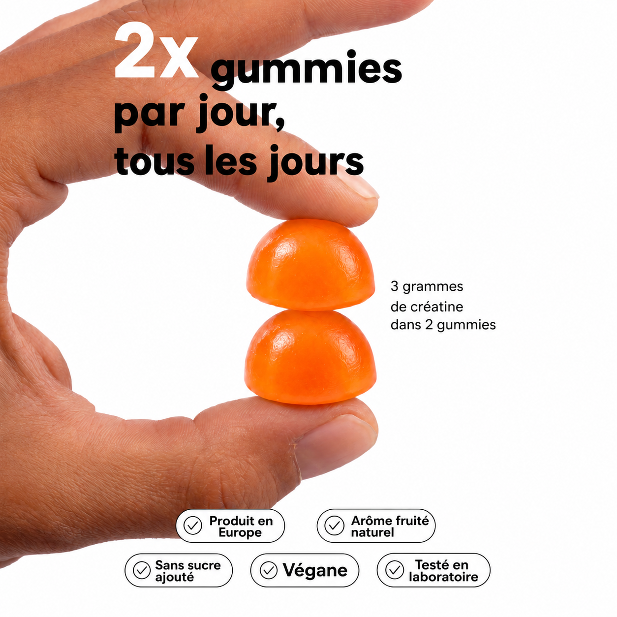 CREO — Gummies Créatine Monohydrate